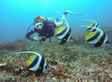 padi diving images
